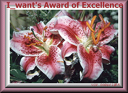 ExcellenceAwardVJR