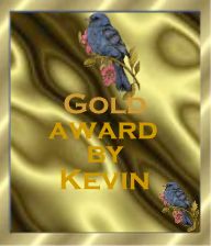 Gold Award by Kevin