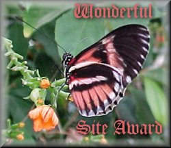 Wonderful Site Award
